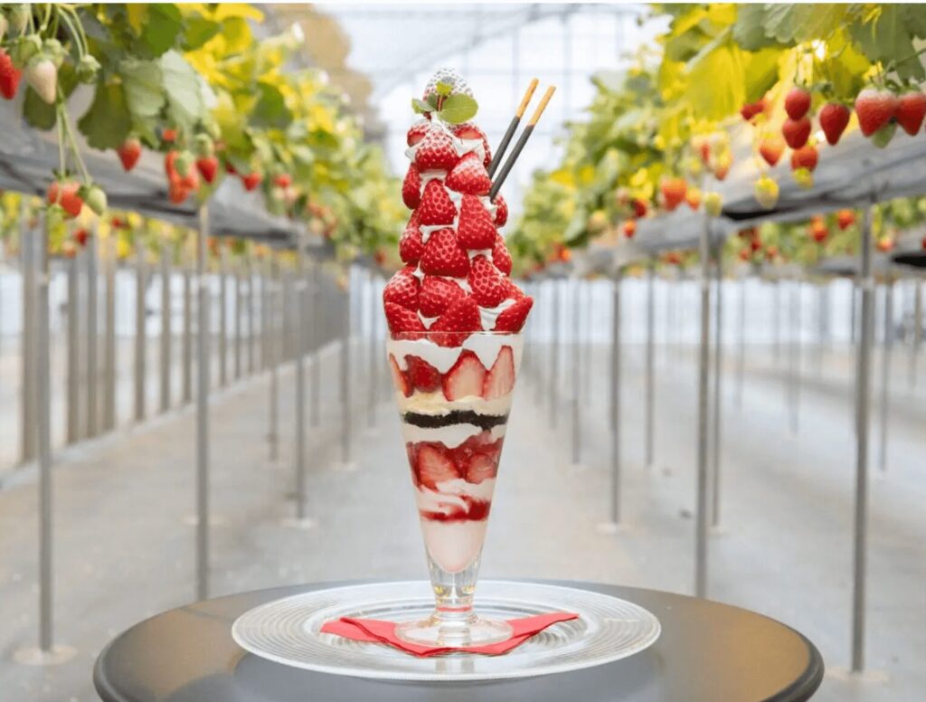 ザファーム星空イチゴ園のイチゴタワー