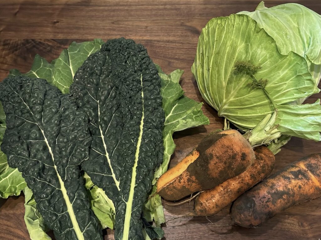 収穫体験で持ち帰った野菜