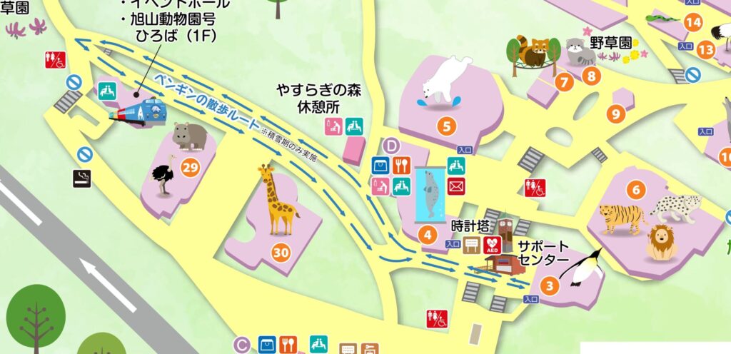 旭山動物園のペンギンの散歩ルート表