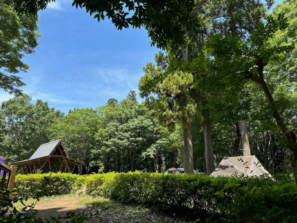 デイキャンプがおすすめの理由