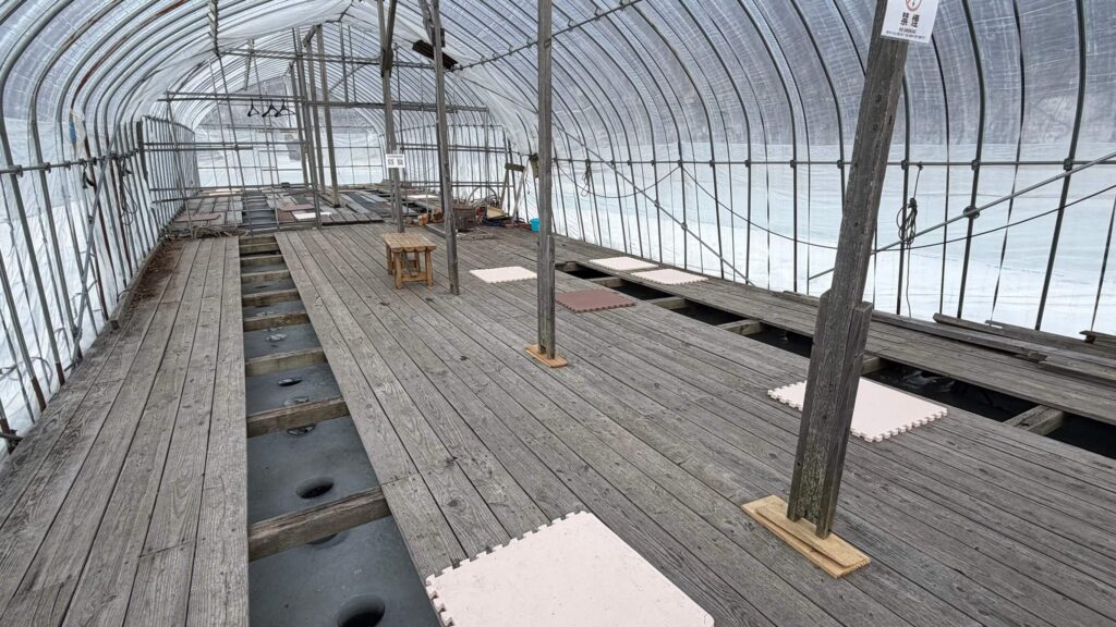 無料で使えるハウス内の釣り場