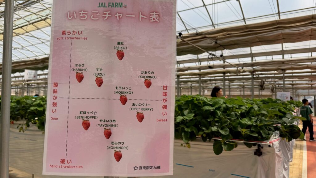 JAL Agriportで食べられる品種一覧