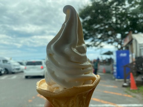 函館牛乳アイス118のソフト