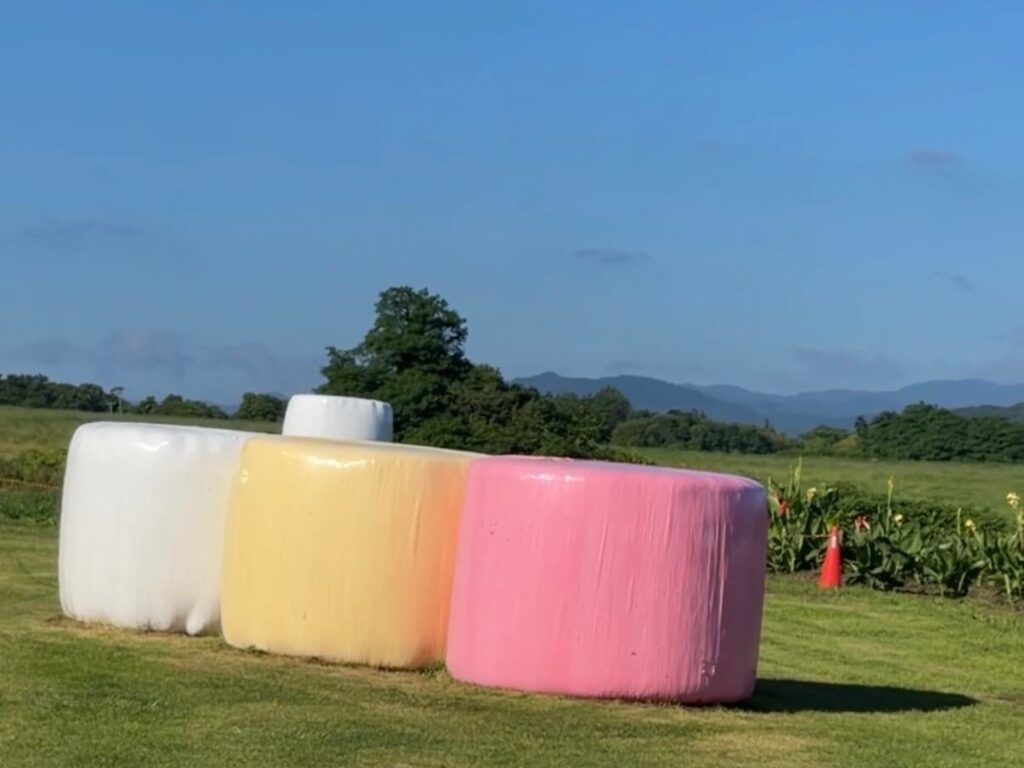 天気の良い日に撮りたい牧草ロールに乗って写真撮影