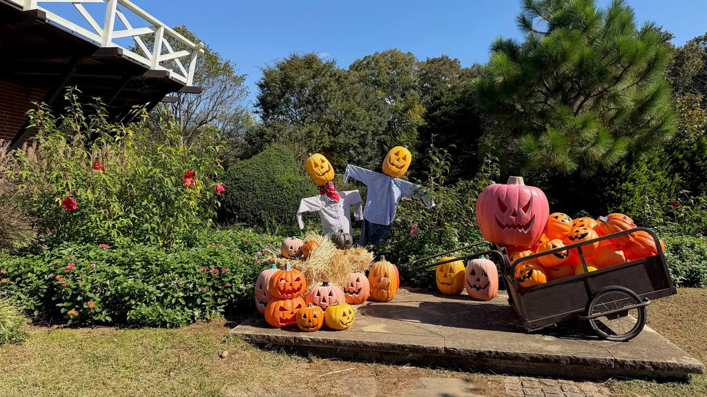 アンデルセン公園は30周年。季節のイベントや記念イベントなどたくさん。
